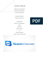 Manual Teamviewer