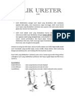 Kolik Ureter