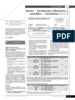 IGV - PRACTICA.pdf