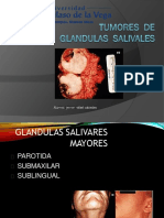 Gland_salivales - Rafael Cabiedes