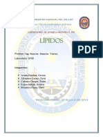 08 Informe Orga I..Lipidos