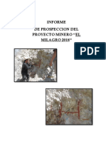 Informe de Prospeccion Del Proyecto El Milagro