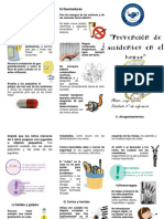 edoc.site_94198116-triptico-prevencion-de-accidentes-en-el-h.pdf