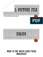 Digitial Picture File