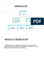 Modulo de Organizacion