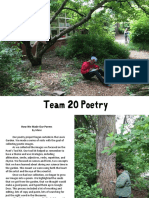 Team 20 Poetry