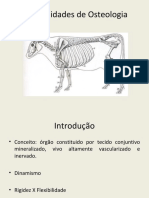 2 - CIS2728 - Generalidades de osteologia.pdf