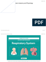 Respiratory System Anatomy and Physiology - Nurseslabs