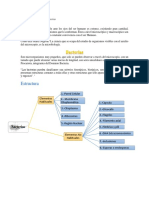 Estructura Bacteriana