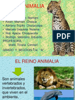 El Reino Animalia