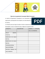 Matriz Conceptual A A 1