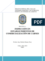 Informe 1