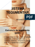 SISTEMA TEGUMENTAR (1).ppt