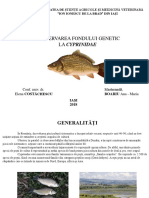 (Prezentare) - Conservarea Fondului Genetic La Cyprinidae
