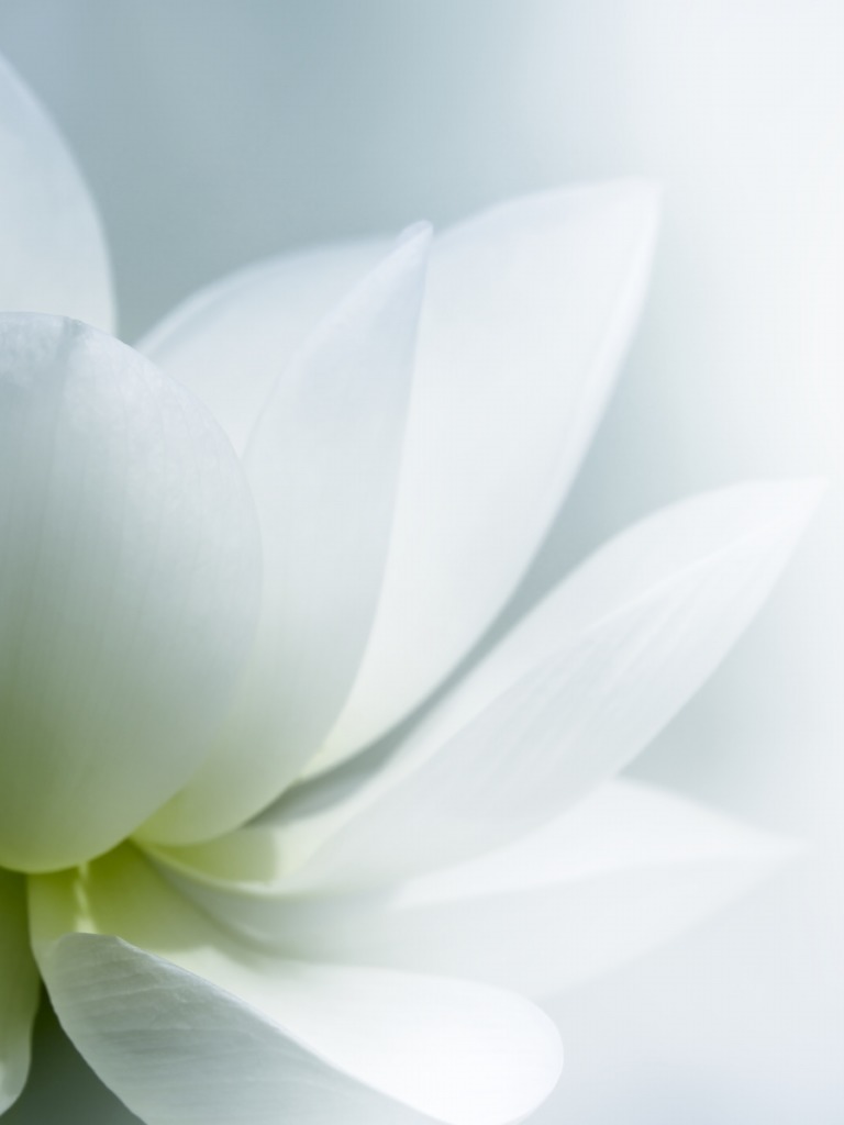 Lessons From Teaching Energy Medicine Eden | PDF | Energy Medicine ...