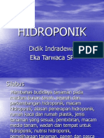 Hidroponik.ppt