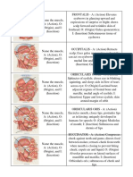 Muscle Origin Insertion Actions