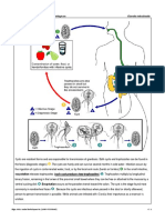 Ok INV2018 CICLOS PDF