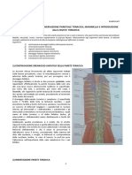 28-Anatomia II-25.02.2016-drenaggio linfatico e innervazione parietale toracica, mammella e cavità toracica