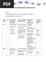 planificare saptamanala conform noului curriculum (1).doc