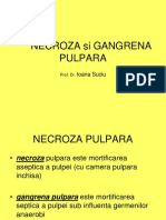 12. NECROZA si GANGRENA PULPARA.ppt