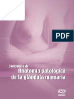 Compendio de Anatomía Patológica de la Glándula Mamaria-.pdf