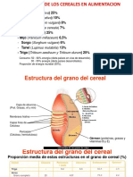 Estructura y Composicion Quimica de Los Cereales