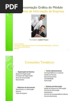 1. SIE - Organização da Empresa