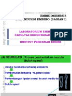 04b. Embriogenesis Dan Induksi Embrio Bagian I 2011 PDF