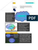 Neuro Psicologia