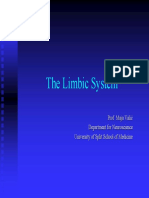 Limbic System Lengkapp