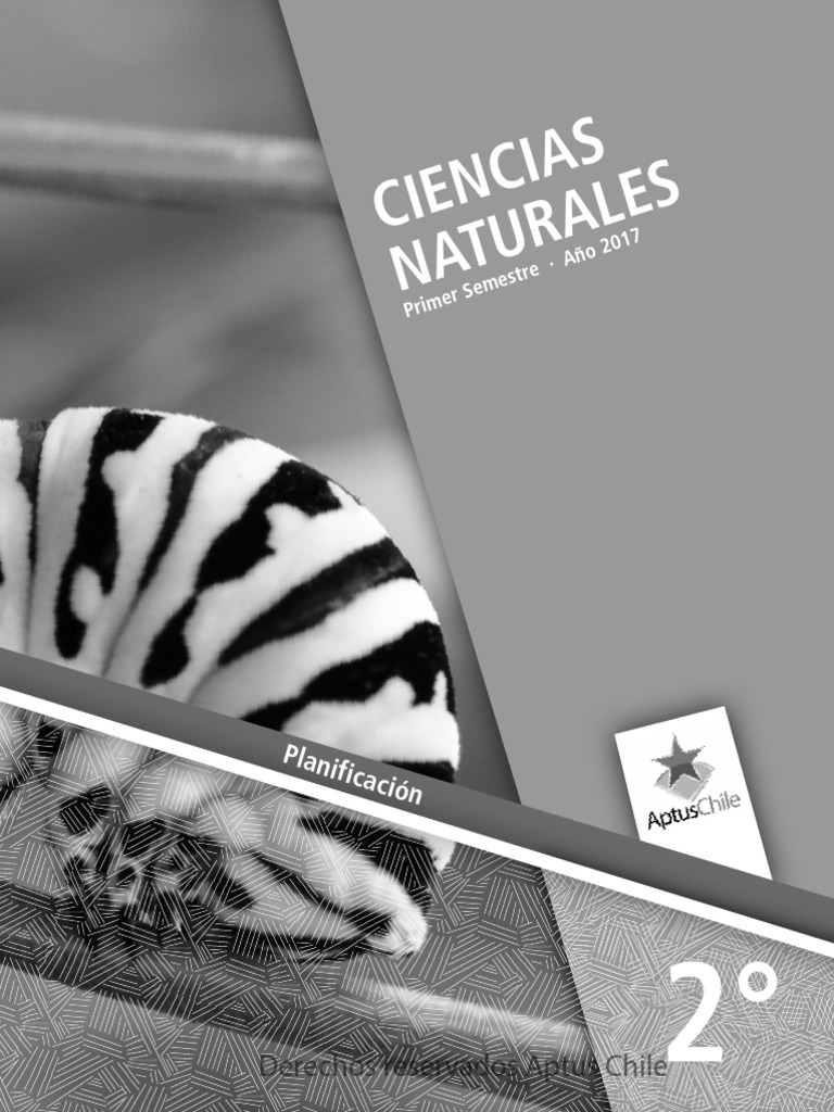 Ciencias 2 Basico Pdf Pdf