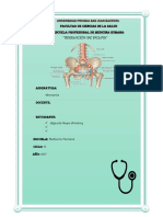 Seminario de Anatomia