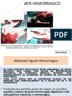 61108192-4-Abdomen-Hemorragico.pptx