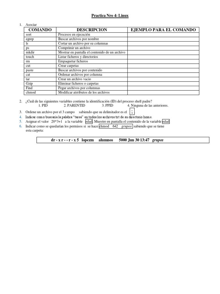 Practica de Comandos Básicos | PDF | Archivo de computadora | Software ...