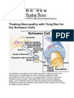 Treating Neuropathy with Tong Ren for the Schwann Cells.docx