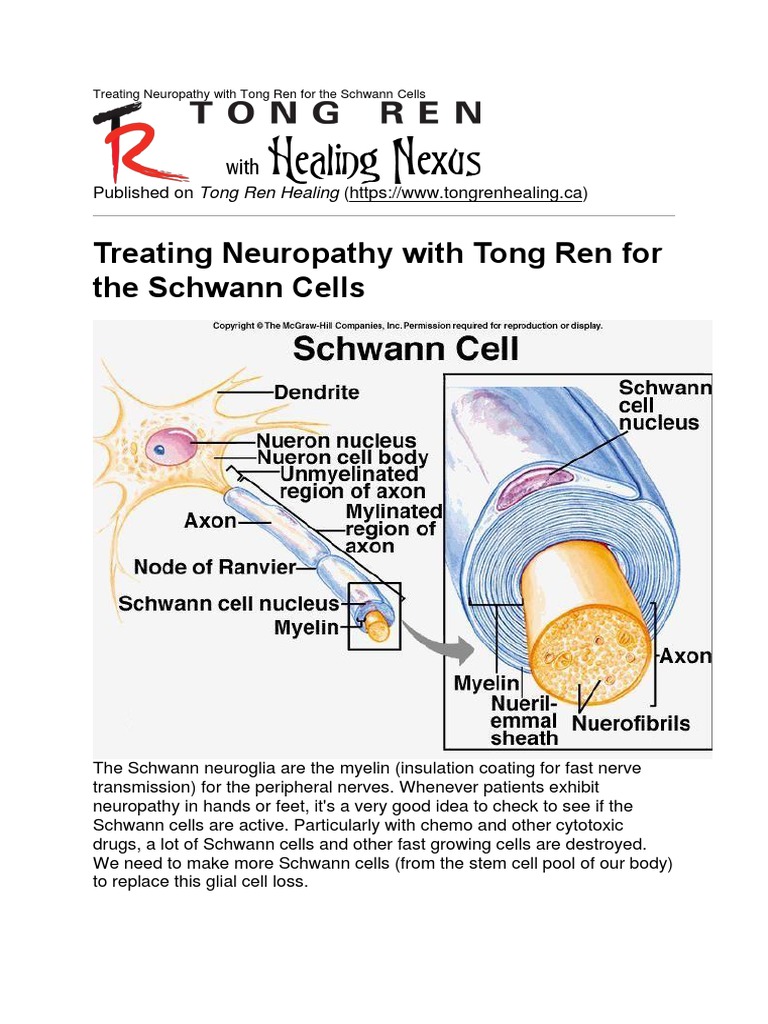 Treating Neuropathy With Tong Ren For The Schwann Cells PDF