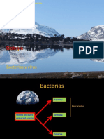 Clase 10 Bacterias y Virus.pdf
