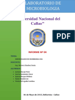 Escherichia Coli Informe