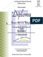 Diploma Curso Word Instructor