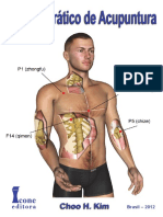 967606791manual Prático de Acupuntura FRAGMENTOS PDF