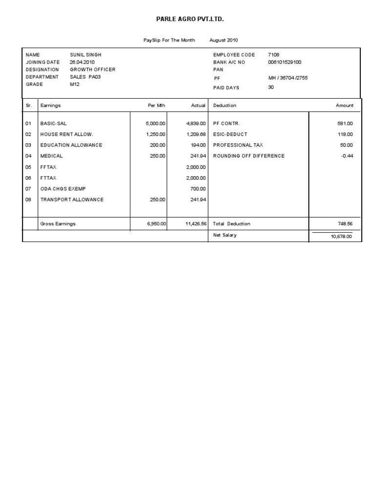 Pay Slip New PDF