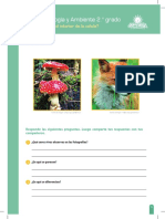 RP-CTA2-K01 - Ficha #1 PDF