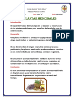 plantas medicinales.docx