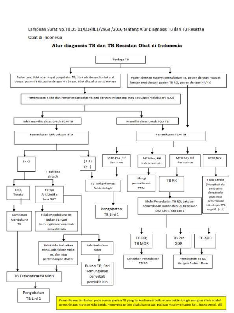 Alur Diagnosis TB Dan TB Resisten Obat