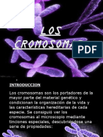 Cromosomas en Humanos y Sus Alteraciones