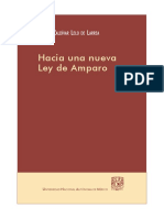 Hacia Una Nueva Ley de Amparo PDF