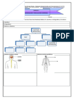 guíA SN 1.docx