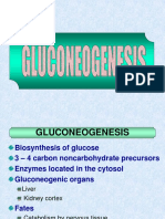 5.2. Glukoneogenesis Dan Metabolisme Glikogen