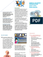 leaflet ispa.doc